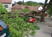 Kwikfynd Tree Cutting Services
ashwell